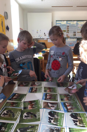 Seminarbäurinnen 2019 (11)