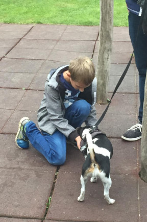 Welttiertschutztag 2018 (2)