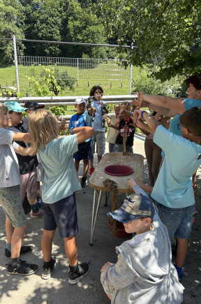 IMG_6160 IMG_6160